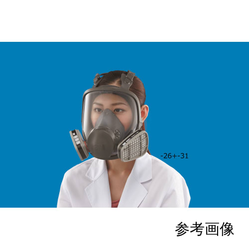 防毒面具 6000F L